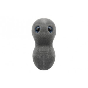 GIANTMICROBES GONORREA (CLAP)