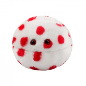 GIANTMICROBES MORBILLO Measles - Morbillivirus