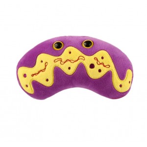 GIANTMICROBES MITOCONDRIO Mitochondria