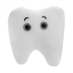 GIANTMICROBES DENTE MOLARE Tooth Molar