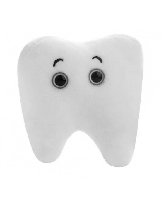 GIANTMICROBES DENTE MOLARE Tooth Molar