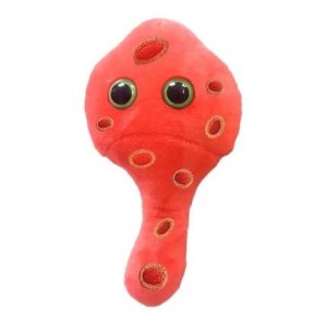 GIANTMICROBES MYCOPLASMA (Mycoplasma genitalium)