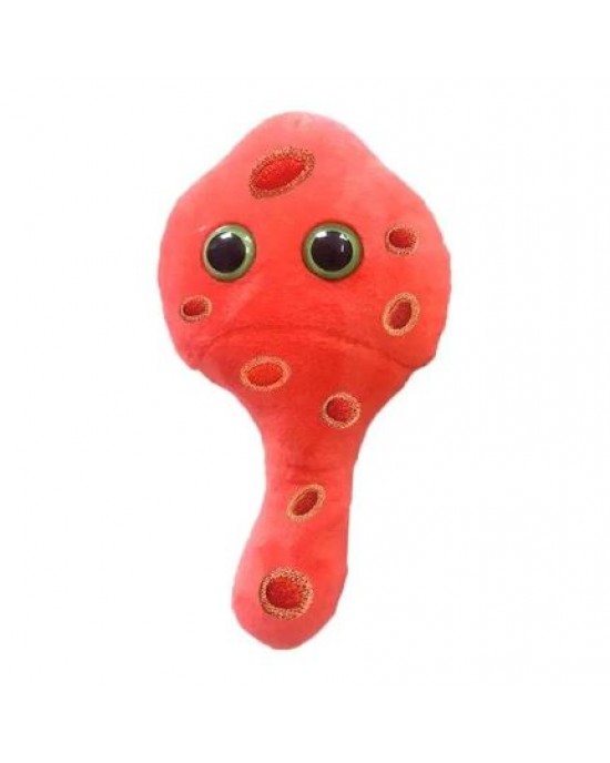 GIANTMICROBES MYCOPLASMA (Mycoplasma genitalium)