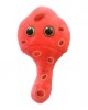 GIANTMICROBES MYCOPLASMA (Mycoplasma genitalium)