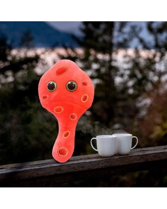 GIANTMICROBES MYCOPLASMA (Mycoplasma genitalium)