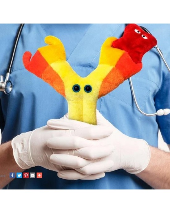 GIANTMICROBES ANTICORPO Antibody - Immunoglobulin