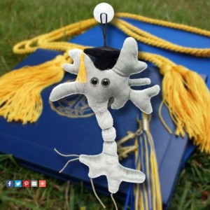 GIANTMICROBES NEURONE CELLULA CEREBRALE LAUREA