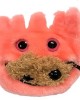 GIANTMICROBES CELIACHIA Celiac Disease