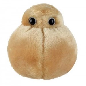 GIANTMICROBES CELLULA ADIPOSA Fat Cell