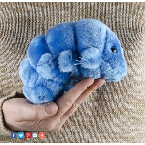 GIANTMICROBES ORSO D'ACQUA Waterbear - Tardigrade