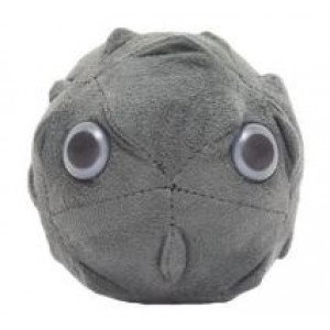 GIANTMICROBES POLIOMELITE (Polio)