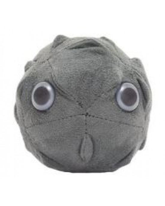 GIANTMICROBES POLIOMELITE (Polio)