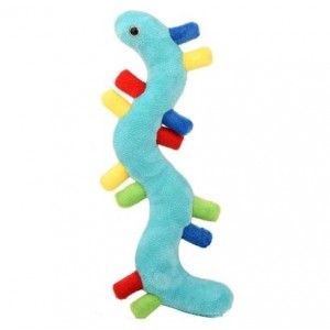 GIANTMICROBES RNA Ribonucleic acid