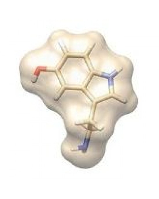 GIANTMICROBES SEROTONINA Serotonin