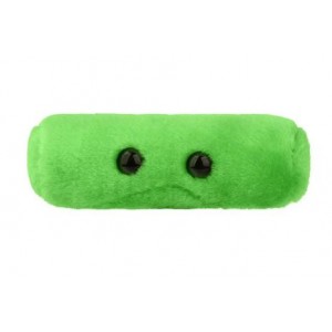 GIANTMICROBES TB (Tuberculosis)