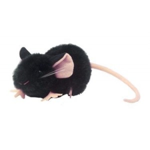GIANTMICROBES TOPO NERO (CAVIA) Black Lab Mouse