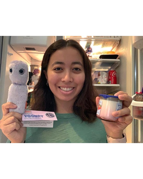 GIANTMICROBES YOGURT (Lactobacillus Bulgaricus)
