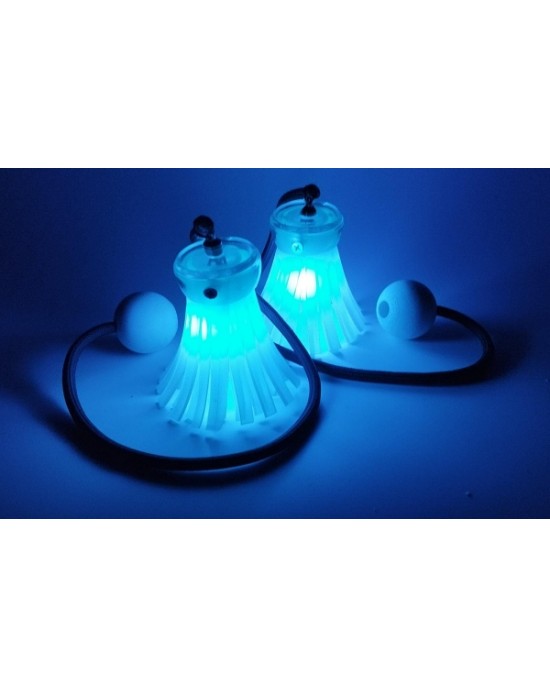 FLOWER POI LED KOSMOS - TELECOMANDO