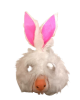 MASCHERE PELOSE ANIMALI