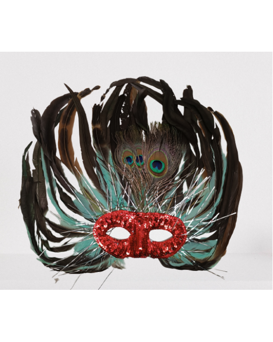 MASCHERE PIUME GRANDI