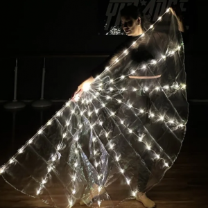 BANDIERA LED RICARICABILE BIANCA