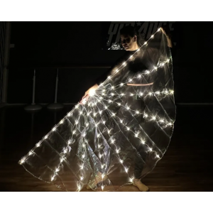 BANDIERA LED RICARICABILE BIANCA