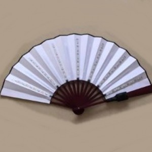 VENTAGLIO LUMINOSO MONOCOLORE A BATTERIE (a unita)