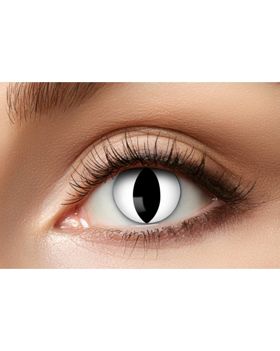 LENTI FANTASY BLACK CAT