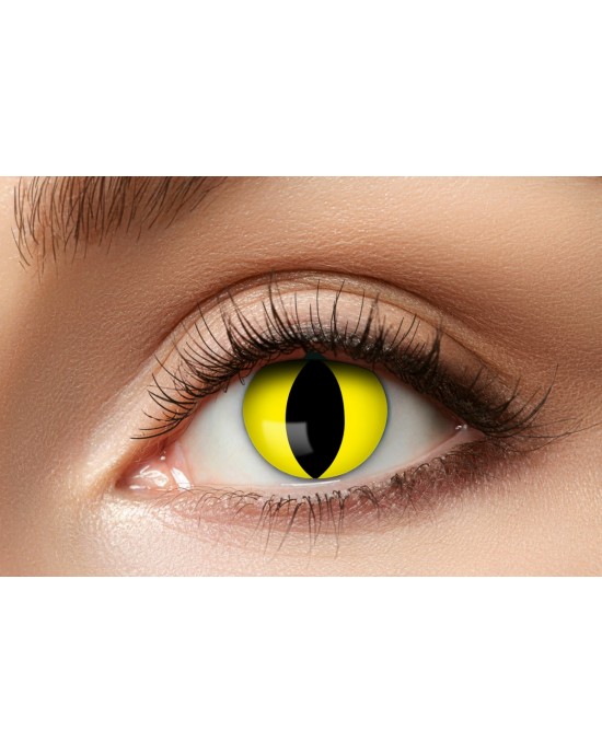 LENTI FANTASY YELLOW CAT