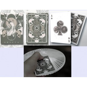 CARTE BICYCLE ANICCA SILVER UNBRANDED