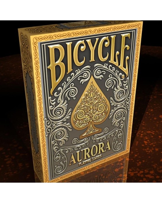 CARTE BICYCLE AURORA