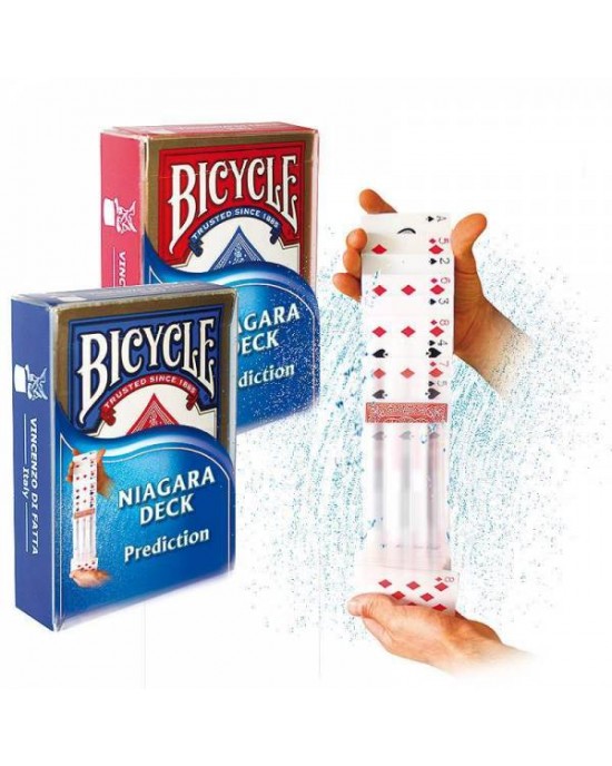 CARTE BICYCLE NIAGARA