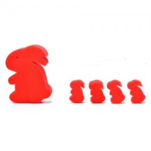 CONIGLIO DI SPUGNA - FAMIGLIA