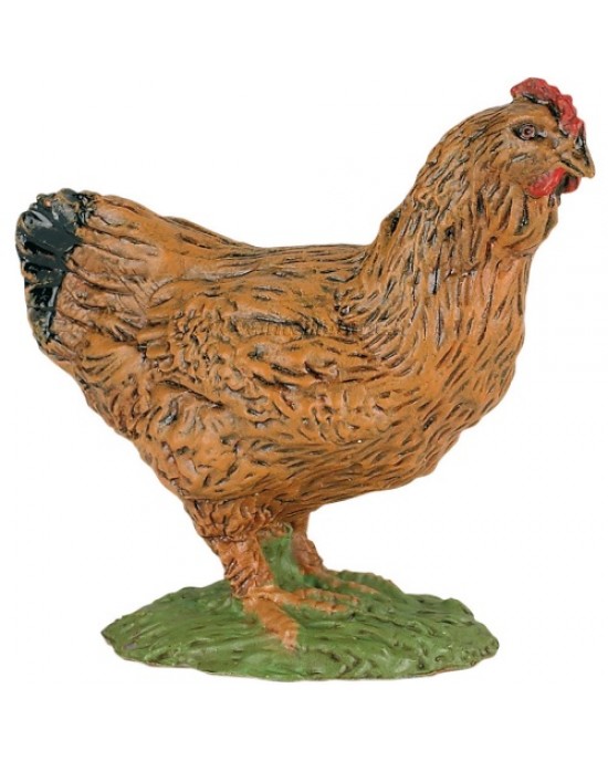 GALLINA MARRONE