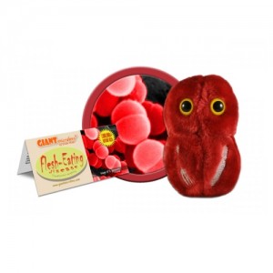 GIANTMICROBES BATTERIO MANGIA CARNE Flesh eating