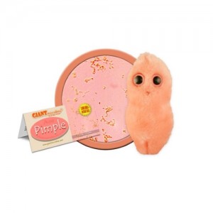 GIANTMICROBES BRUFOLO Pimple