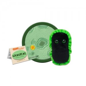 GIANTMICROBES CANCRENA Gangrene - Clostridium Perfringens