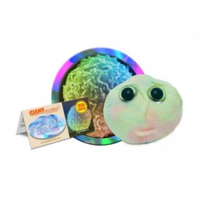 GIANTMICROBES CELLULA STAMINALE