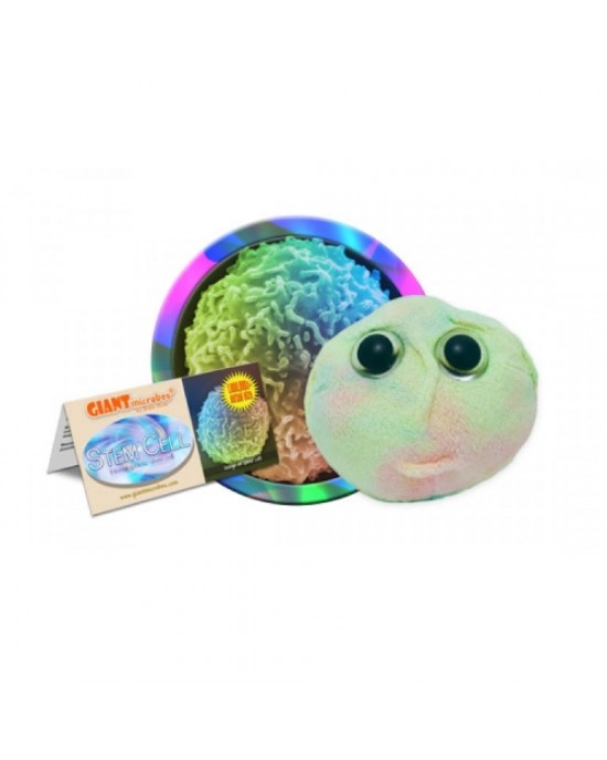 GIANTMICROBES CELLULA STAMINALE