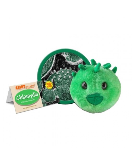 GIANTMICROBES CHLAMYDIA - Chlamydia Trachomatis
