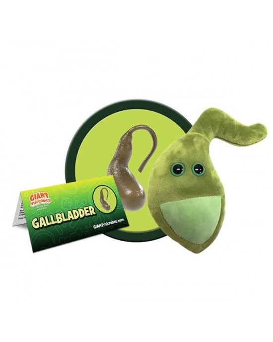 GIANTMICROBES CISTIFELLEA Gallbladder