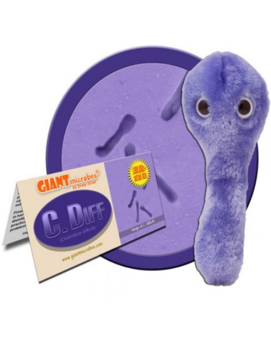 GIANTMICROBES CLOSTRIDIUM DIFFICILE