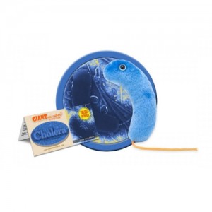 GIANTMICROBES COLERA Cholera