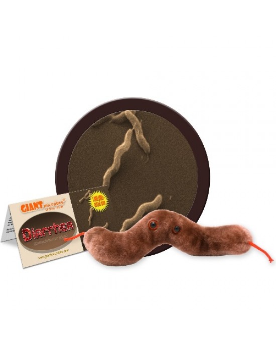 GIANTMICROBES DIARREA