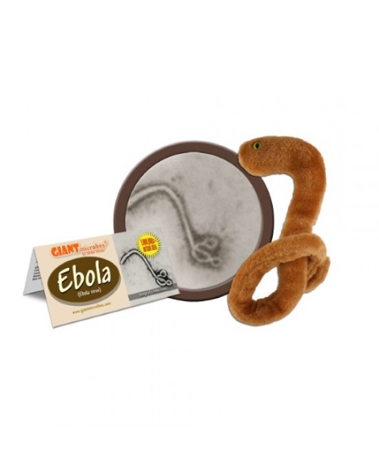 GIANTMICROBES EBOLA