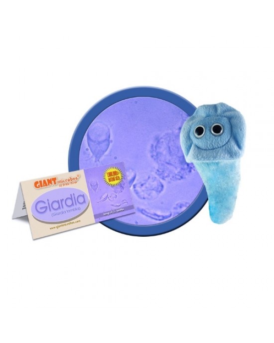 GIANTMICROBES GIARDIA