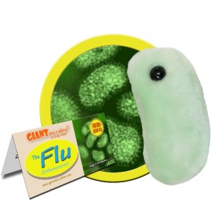 GIANTMICROBES INFLUENZA Flu