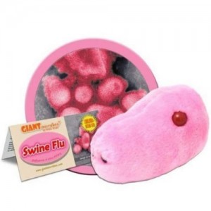 GIANTMICROBES INFLUENZA SUINA Swine Flu