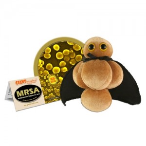 GIANTMICROBES MRSA - (Staphylococcus aureus resistente alla meticillina)