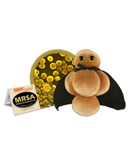 GIANTMICROBES MRSA - (Staphylococcus aureus resistente alla meticillina)